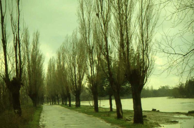 3-Minturno,Garigliano in piena,2 febbraio 1986.jpg